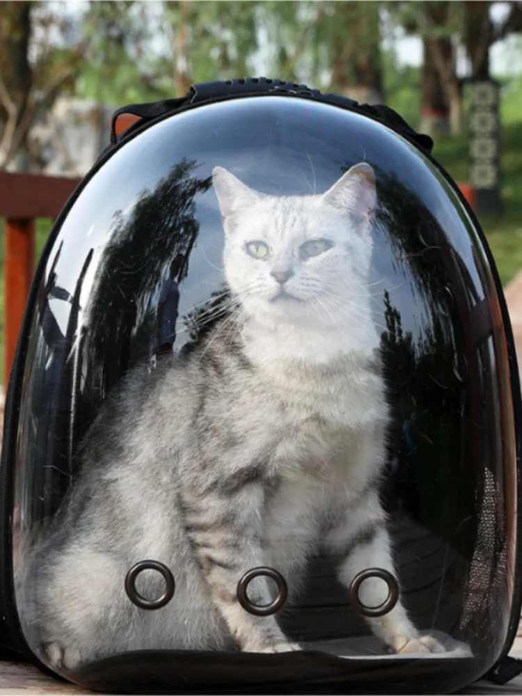 Breathable & Transparent Pet Backpack