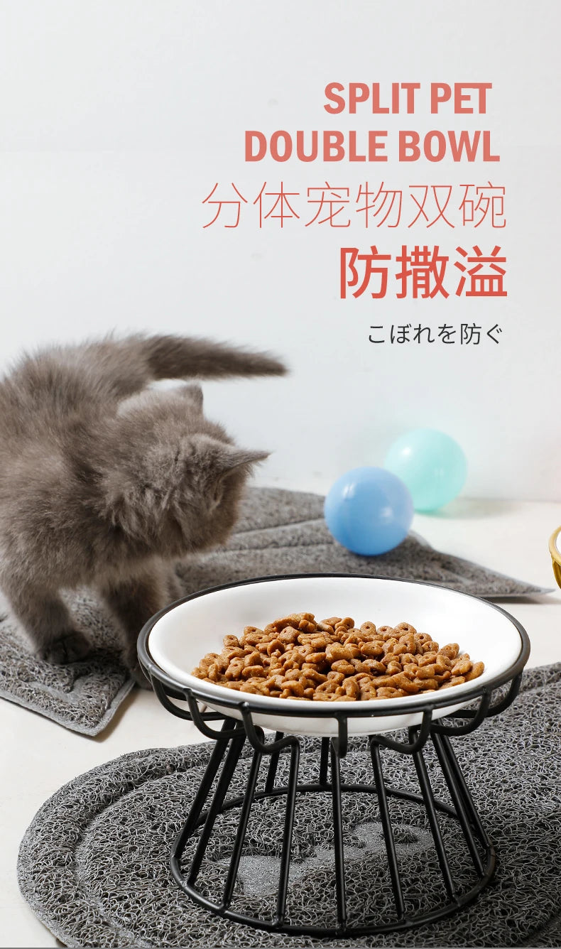 Raised Pet Bowl