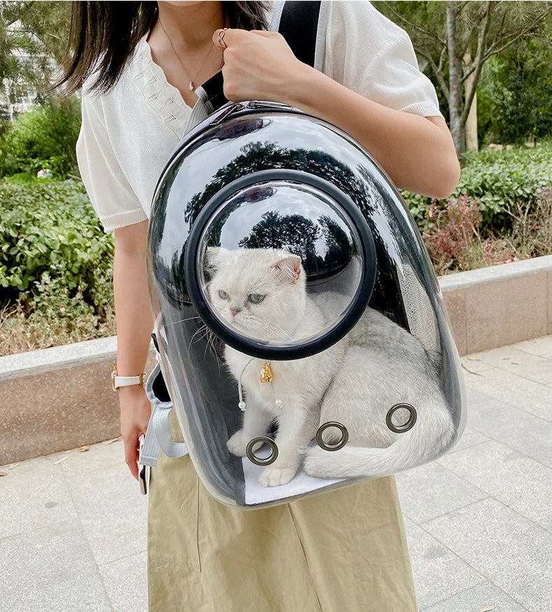 Pet Transparent Backpack