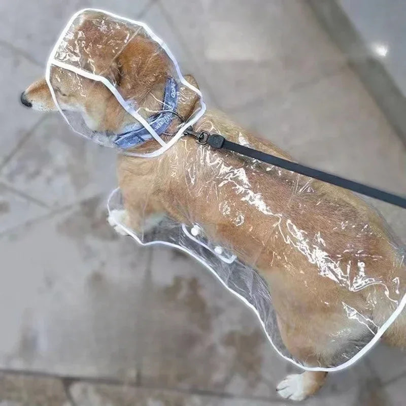 Puppy Transparent Hooded Waterproof Rainwear