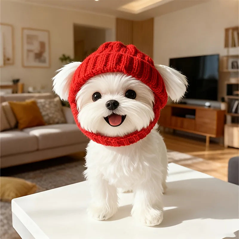 Warm Knit Hat