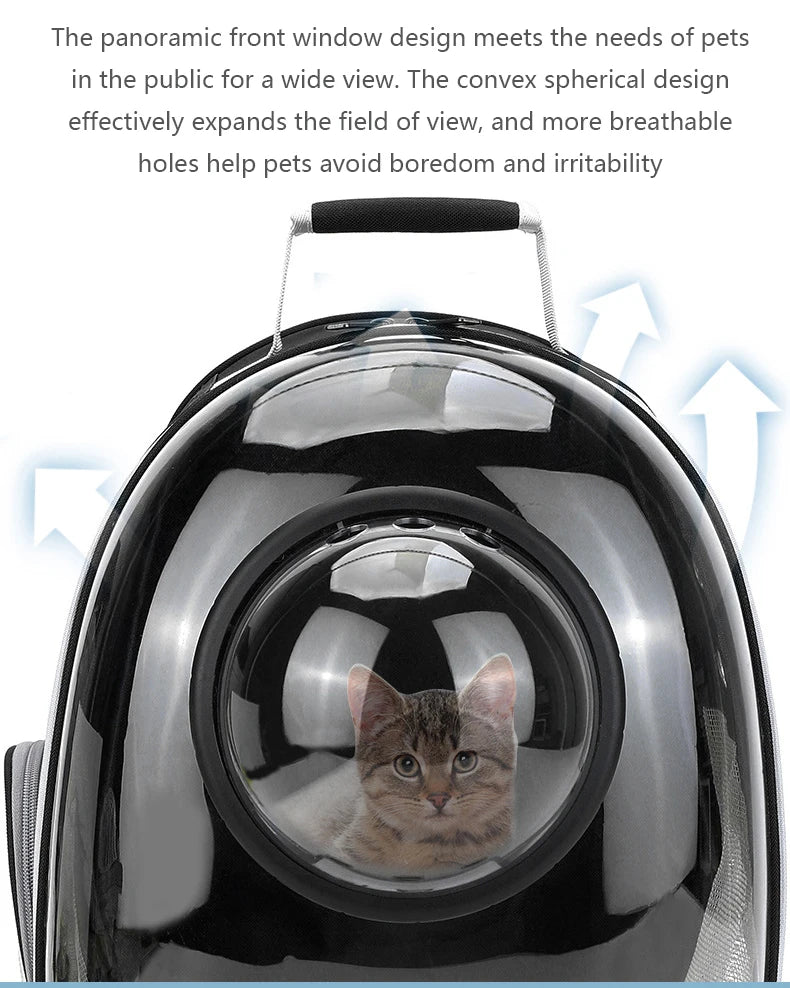 Pet Transparent Backpack