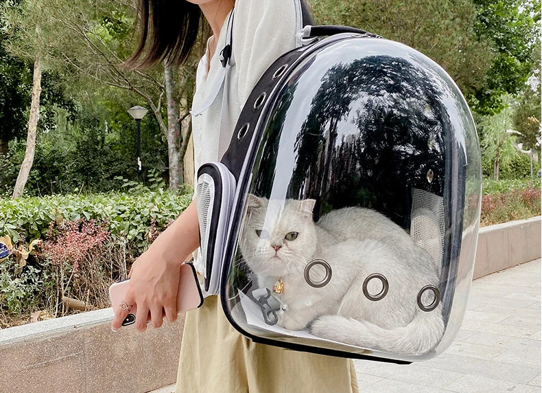 Pet Transparent Backpack