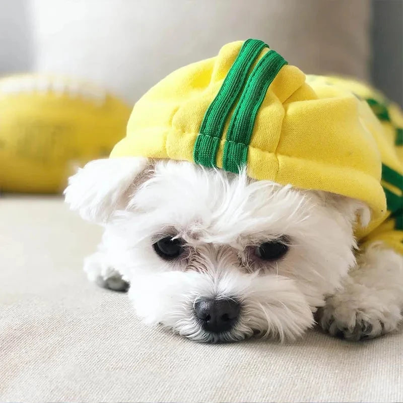 Pet Clothes With Hood