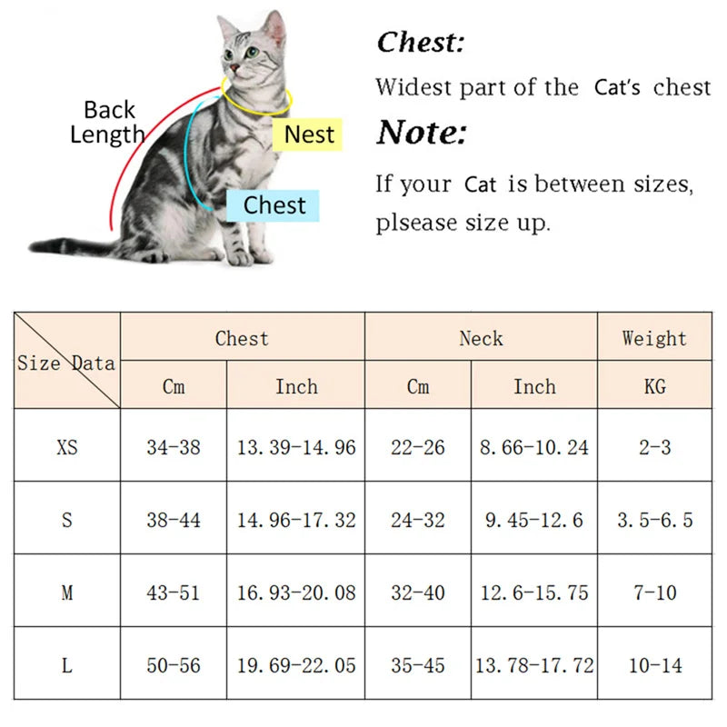 Cat Outdoor Walking Supplies