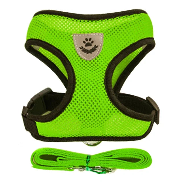 Harness Vest - Walking Lead Leash