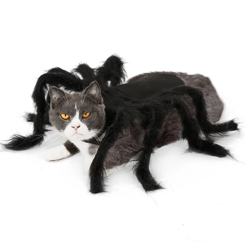Spider Costume