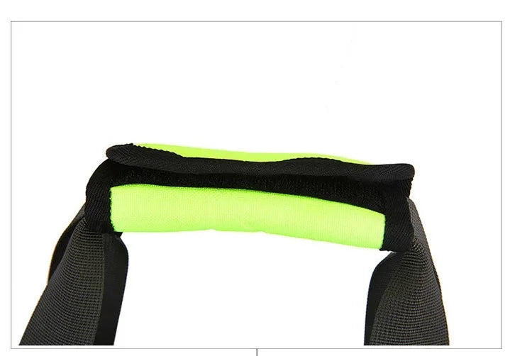Pet Carrier Bag