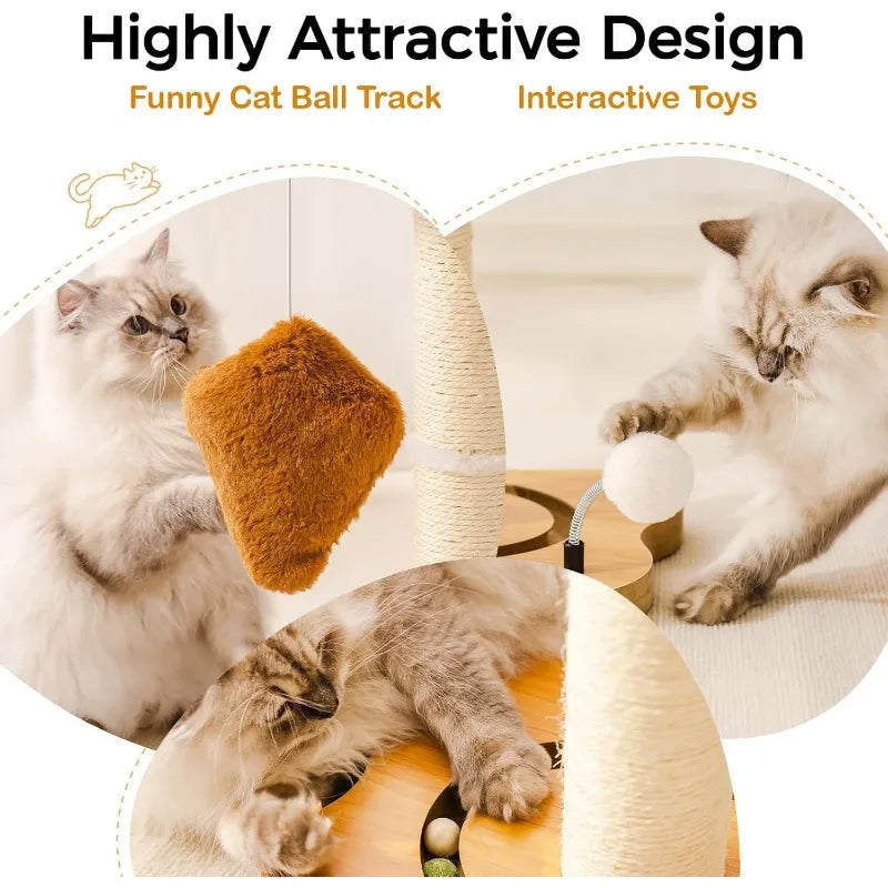 Cat Scratching Post with Bed