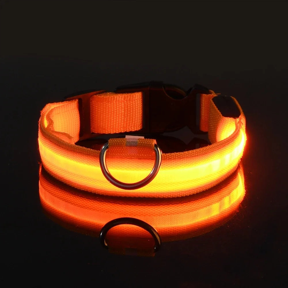 Dog Collar With LED Night