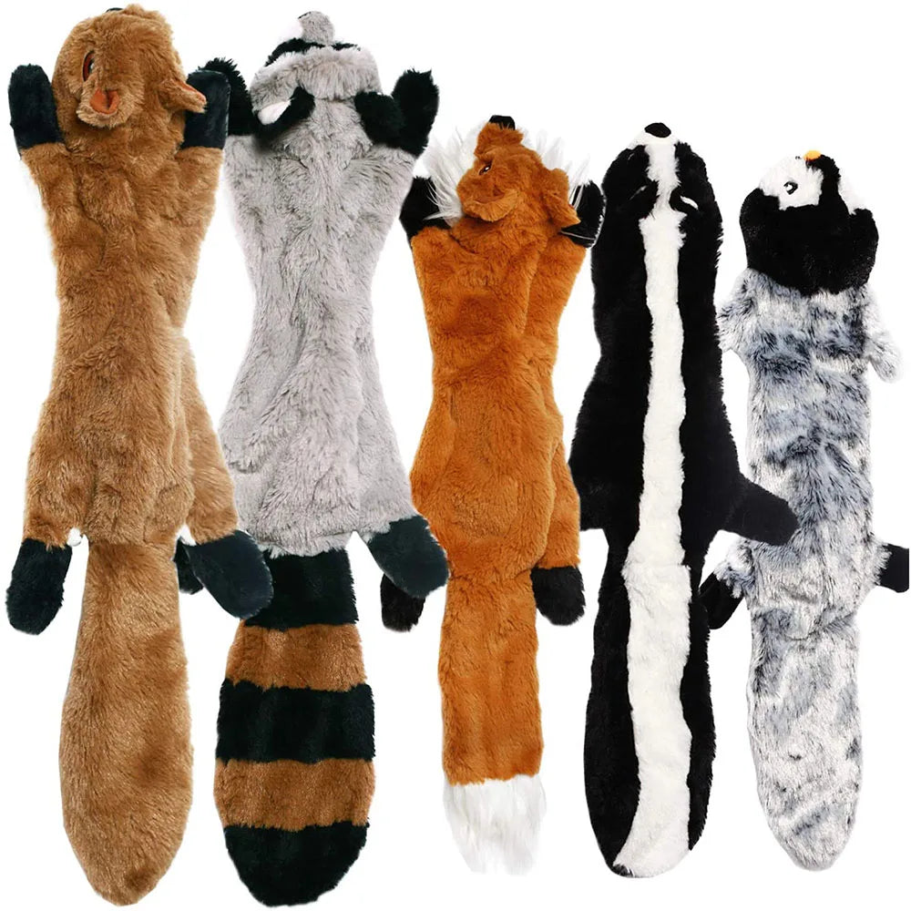 Squeaky Dog Chew Toy