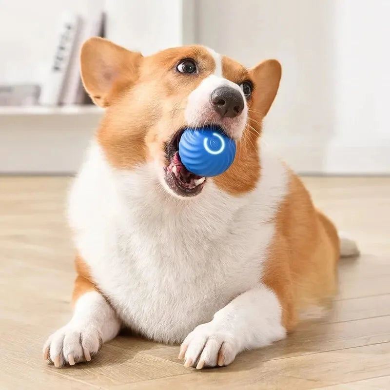 Smart Pet Toy Electronic Ball