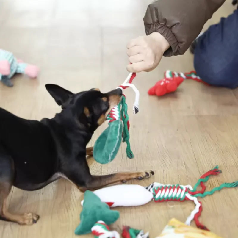 Christmas Dog Squeakey Chew Toys