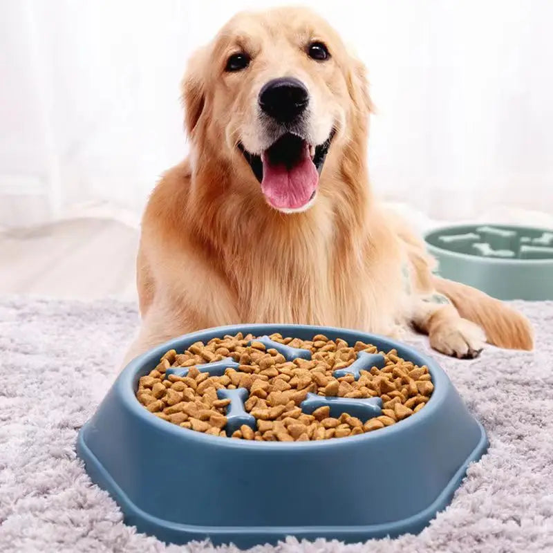 Slow Feeding Dog Bowl