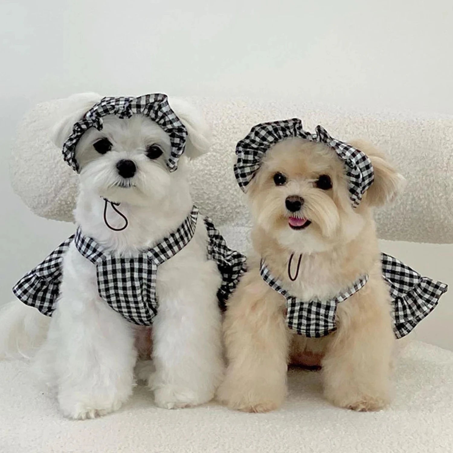 Modern Style Plaid Skirt With Hat