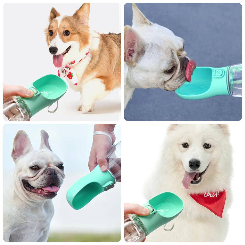 Water Bottle For Pet