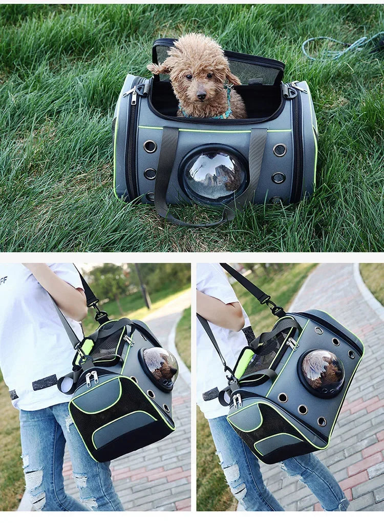 Pet Carrier Bag