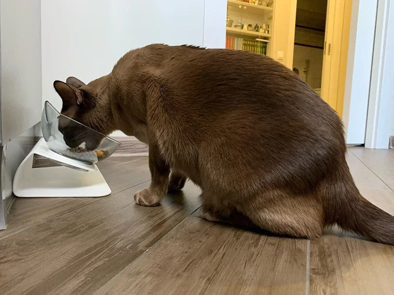 Non-Slip Cat Bowl