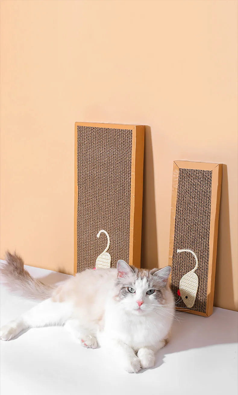Cat Scratching Board