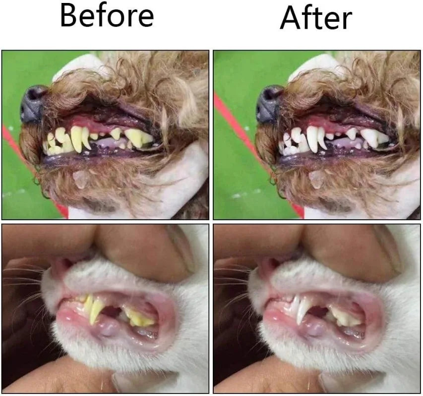 Soft Pet Finger Toothbrushes Dog