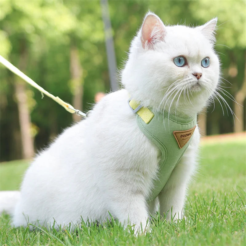 Cat Outdoor Walking Supplies