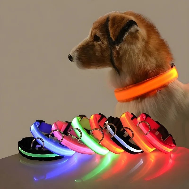 Dog Collar With LED Night