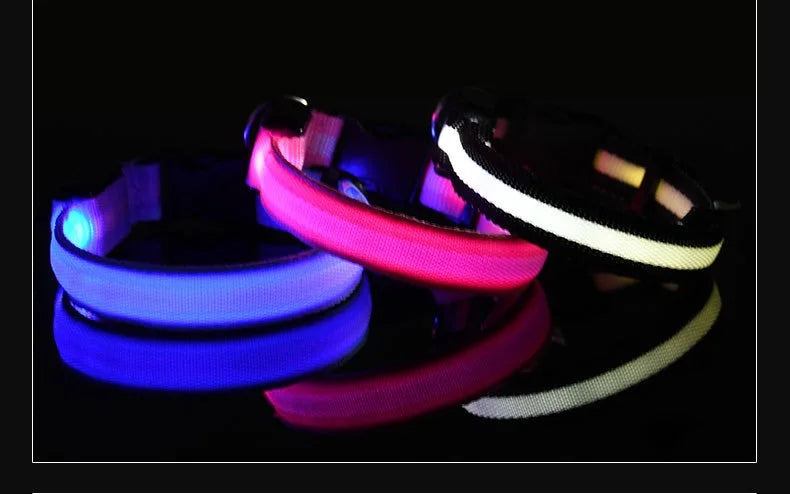Dog Collar With LED Night