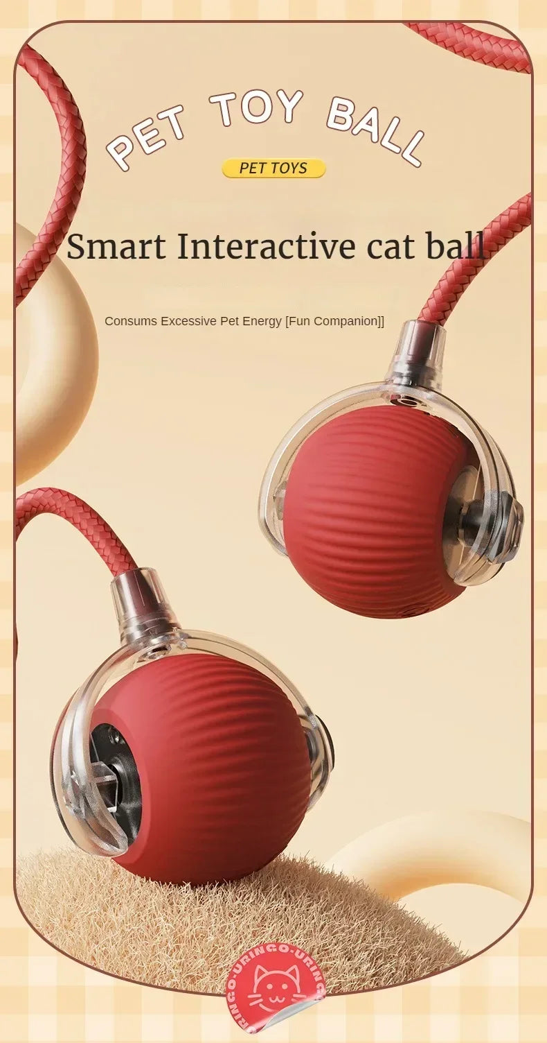 Cat Interactive Electric Ball