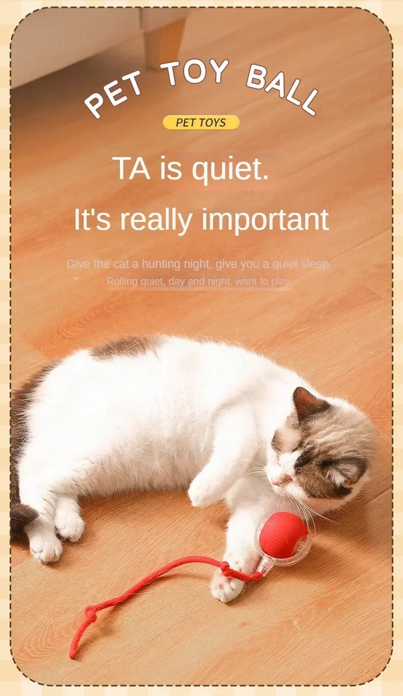 Cat Interactive Electric Ball