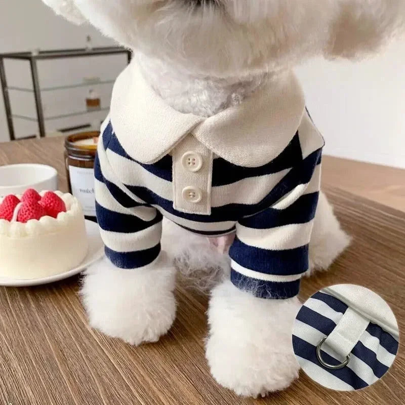 Striped Polo Shirt
