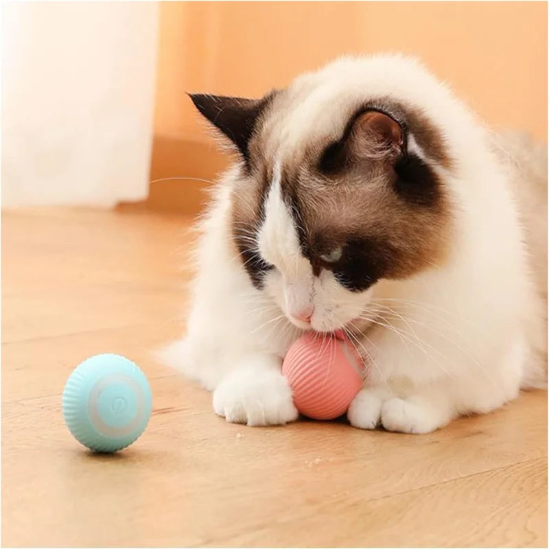 Smart Pet Toy Electronic Ball