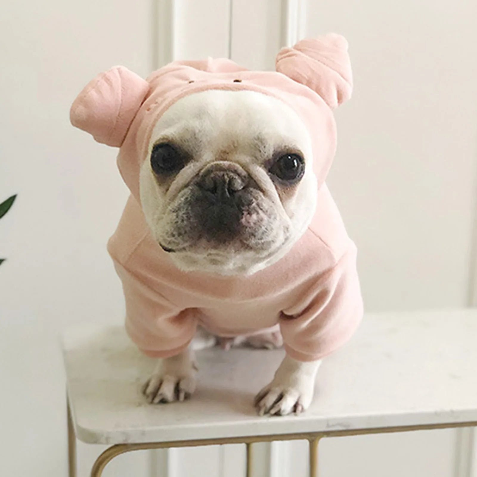 Warm Fleece Deer Pet Costume