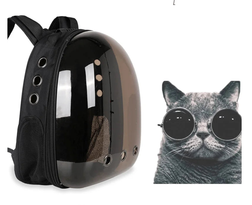 Breathable & Transparent Pet Backpack