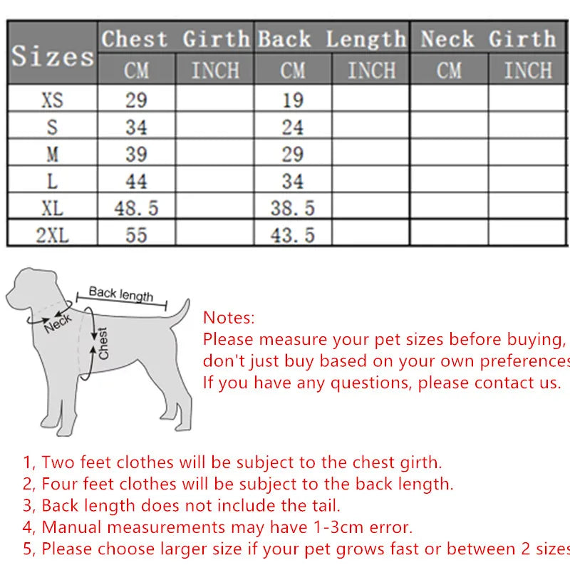 Cute Puppy Sweatshirt - Bear Pattern