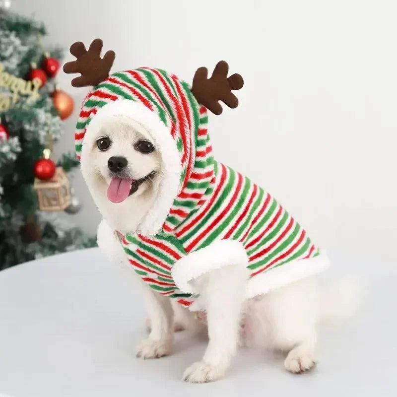 Christmas Pet Clothes
