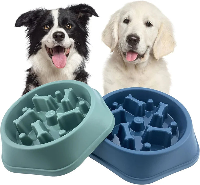 Slow Feeding Dog Bowl