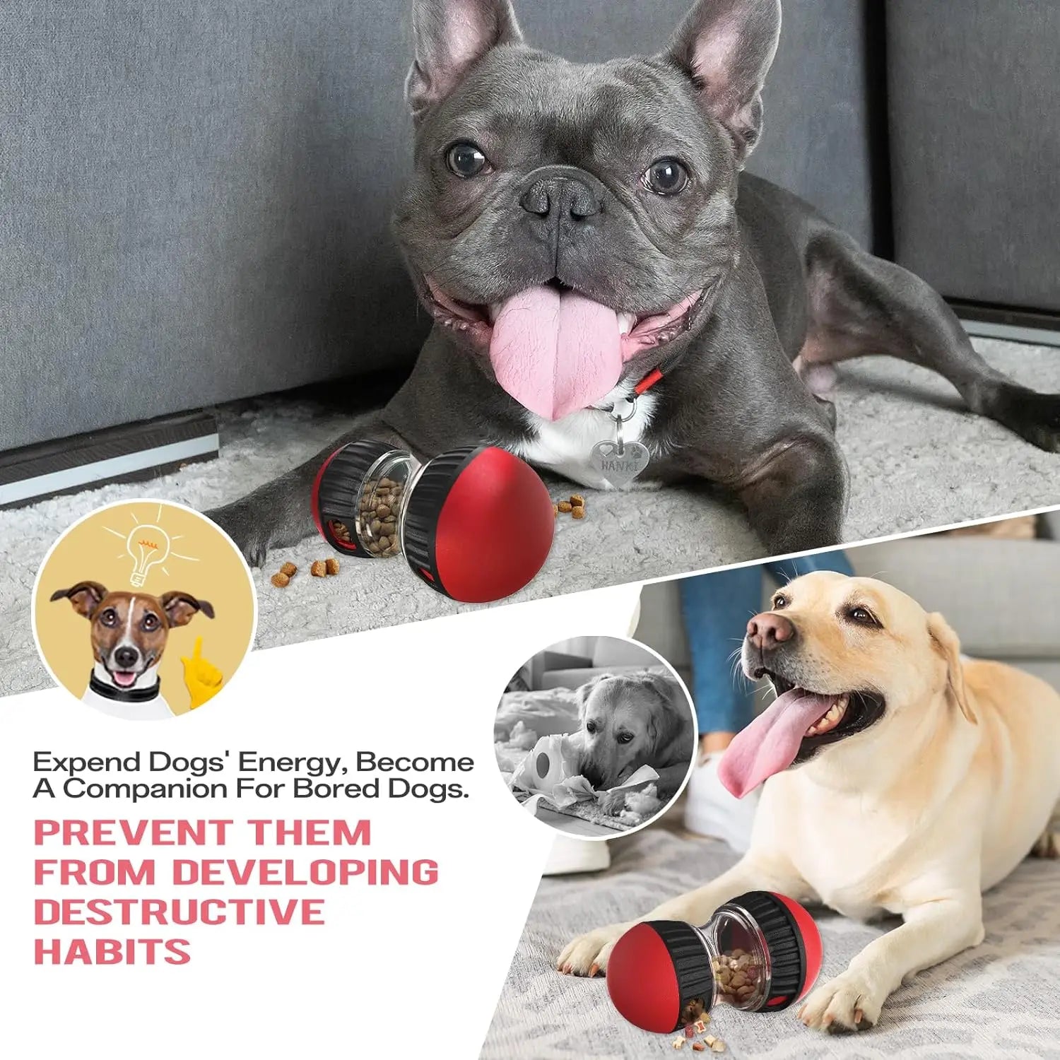 Dog Puzzle Toy Elliptical Track Rolling Ball