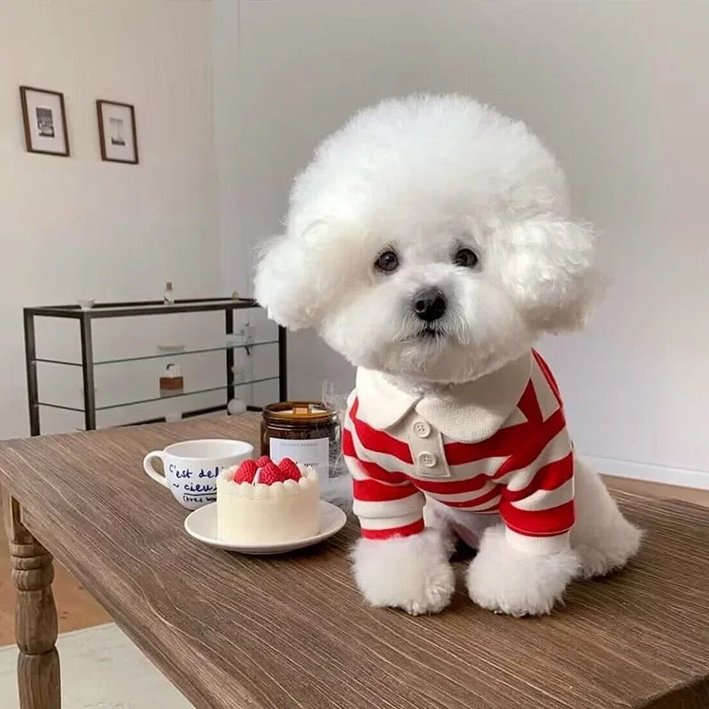 Striped Polo Shirt