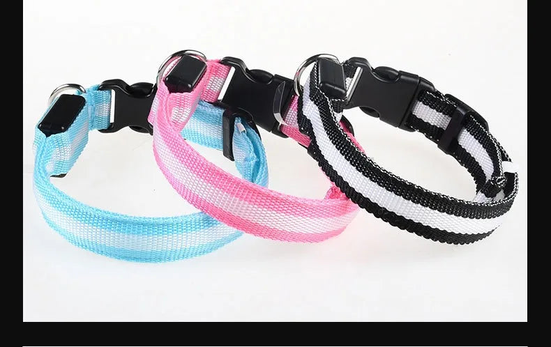 Dog Collar With LED Night