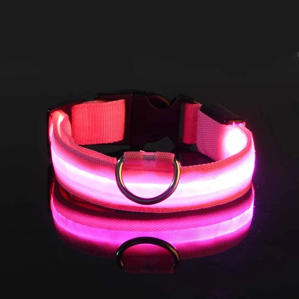 Dog Collar With LED Night