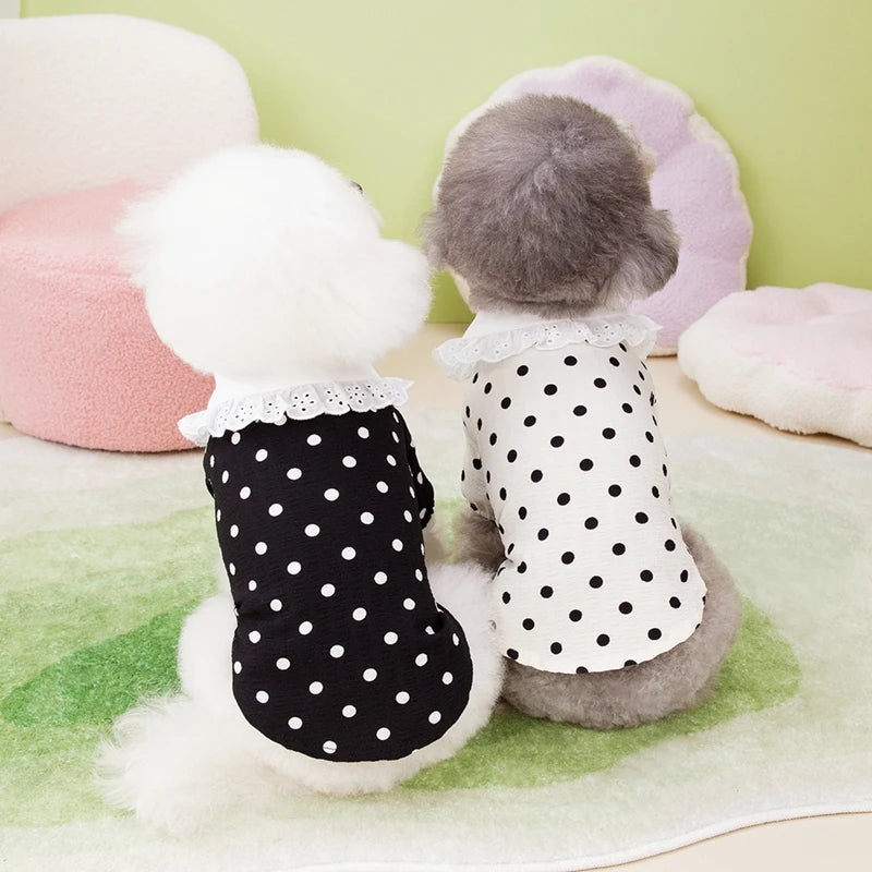 Cute Polka Dotted Lace Bow Black Puppy Shirt