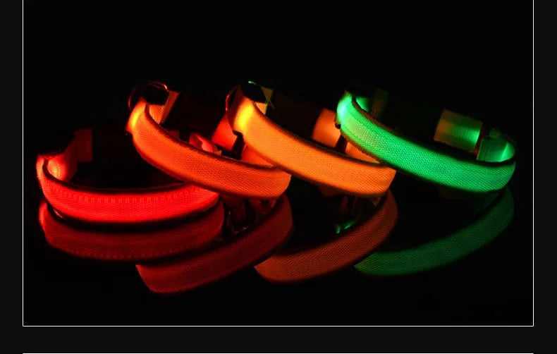 Dog Collar With LED Night