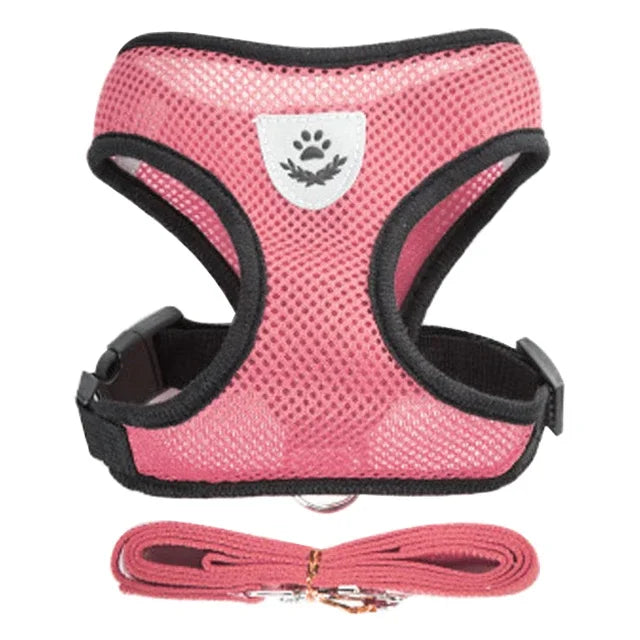 Harness Vest - Walking Lead Leash