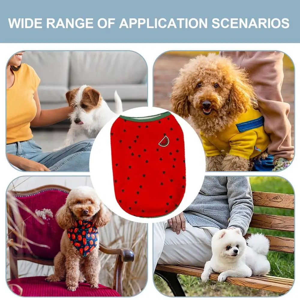 Soft Breathable Dog Clothes - Cute Watermelon Pineapple Outfit