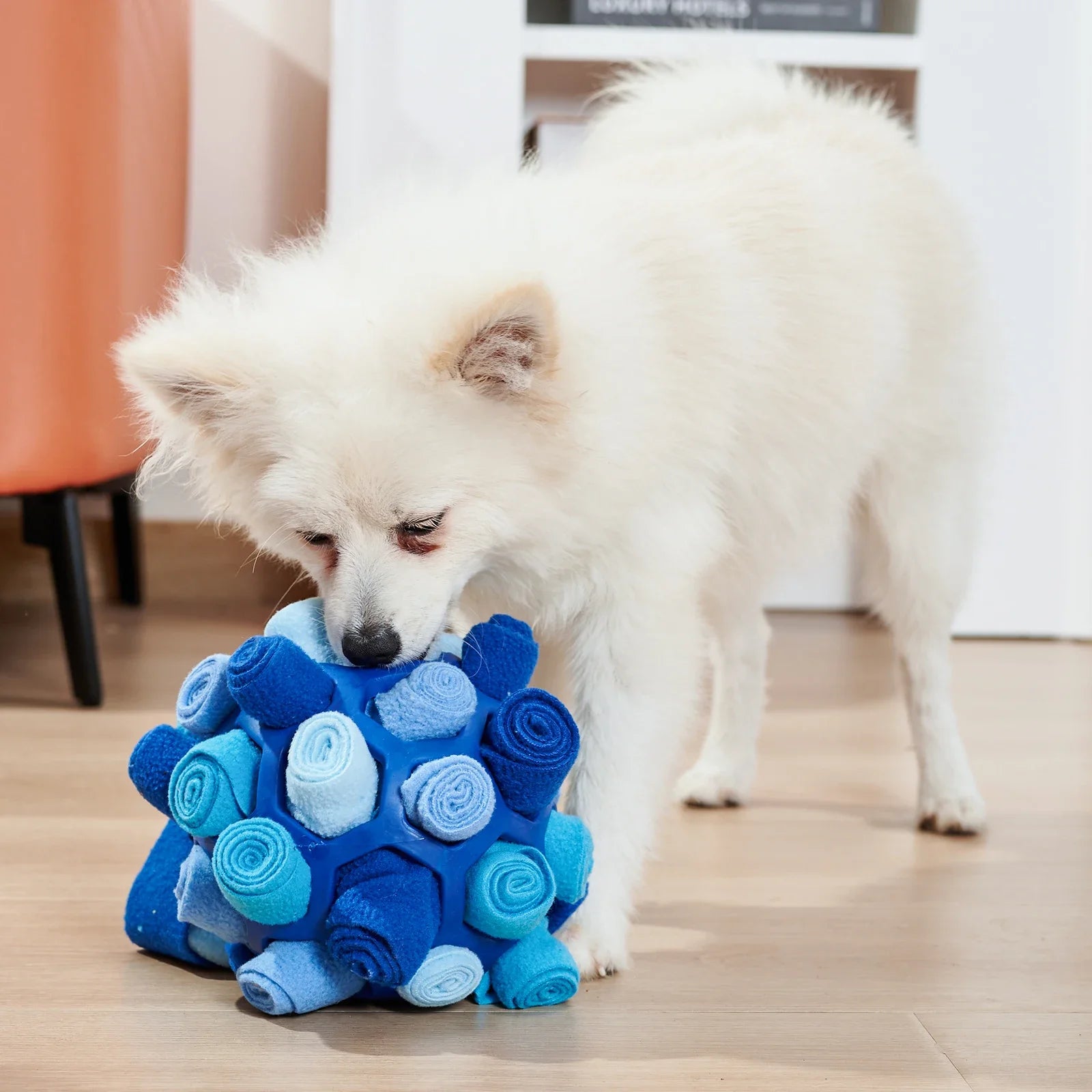 Pet Sniffing Ball