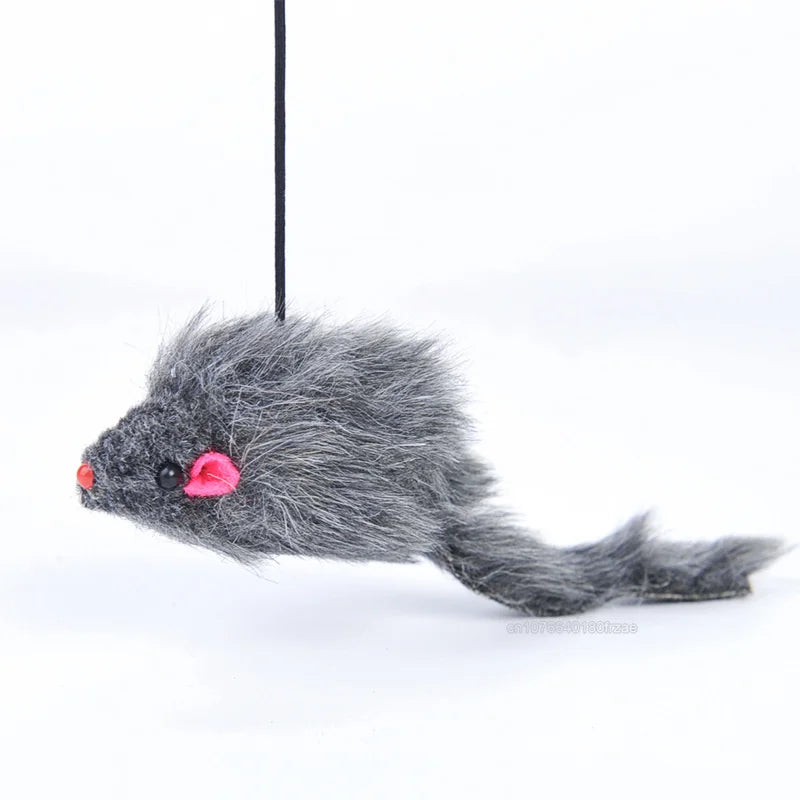 Door Hanging Cat Teaser Toy