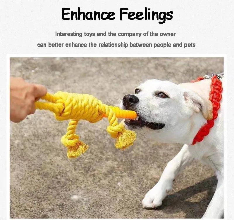 Knot Rope Chew Toy