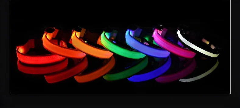 Dog Collar With LED Night