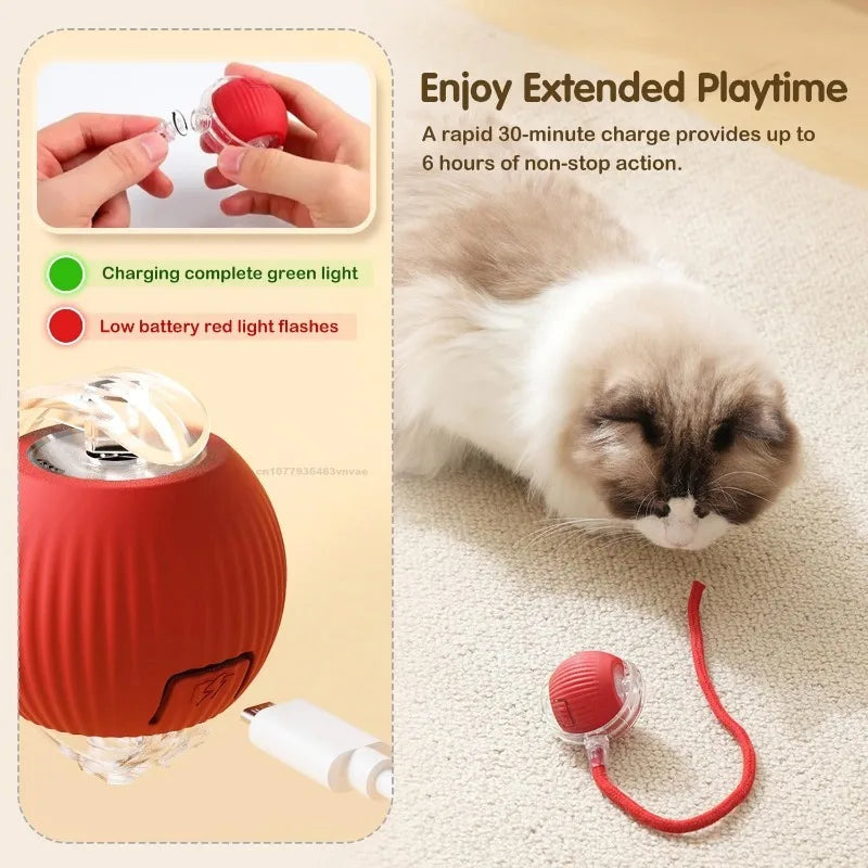 Cat Interactive Electric Ball