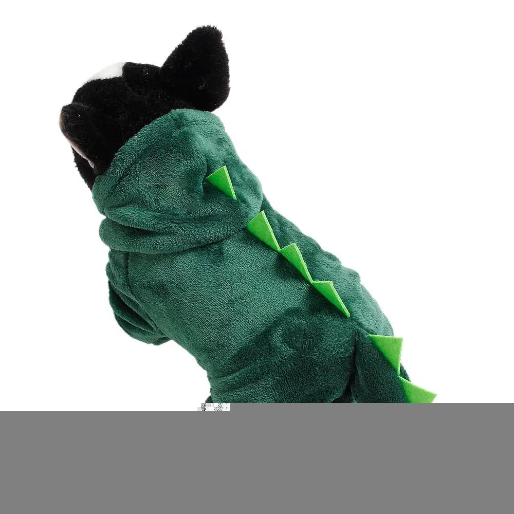 Dinosaur Costume